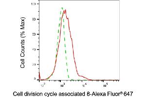 Flow cytometric analysis of Cell division cycle associated 8 expression in HAP-1 cells using Cell division cycle associated 8 antibody (ABIN7798020), 1:2,000). (CDCA8 anticorps)
