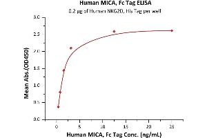 Immobilized Human NKG2D, His Tag (ABIN6973179) at 2 μg/mL (100 μL/well) can bind Human MICA, Fc Tag (ABIN6973157) with a linear range of 0.
