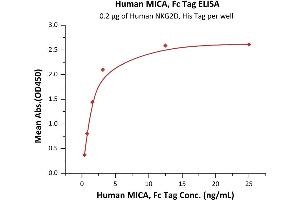 Immobilized Human NKG2D, His Tag (ABIN6973179) at 2 μg/mL (100 μL/well) can bind Human MICA, Fc Tag (ABIN6973157) with a linear range of 0. (MICA Protein (AA 24-308) (Fc Tag))