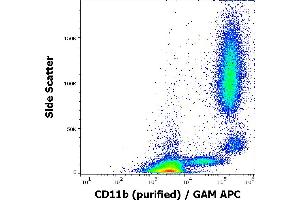 Flow cytometry surface staining pattern of human peripheral whole blood stained using anti-human CD11b (MEM-174) purified antibody (concentration in sample 0,3 μg/mL, GAM APC). (CD11b anticorps)