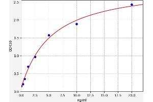 alpha-Fetoprotein L3 ELISA Kit