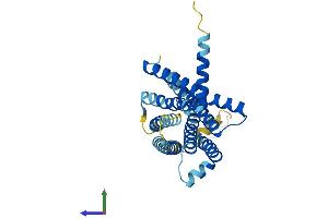 AlphaFold protein structure predicition of Human Recombinant TAS2R9 Protein, UniprotID Q9NYW1