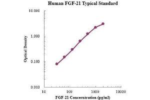 ELISA image for Fibroblast Growth Factor 21 (FGF21) ELISA Kit (ABIN3198429) (FGF21 Kit ELISA)