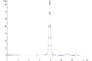 The purity of Biotinylated Human CD3E&CD3D was greater than 95 % as determined by SEC-HPLC.