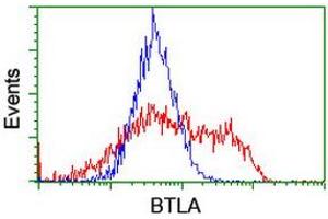 Image no. 3 for anti-B and T Lymphocyte Associated (BTLA) antibody (ABIN1496980) (BTLA anticorps)