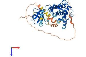 AlphaFold protein structure predicition of Human Recombinant CAMK1D Protein, UniprotID Q8IU85