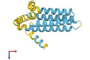 AlphaFold protein structure predicition of Mouse Recombinant Sft2d1 Protein, UniprotID Q5SSN7