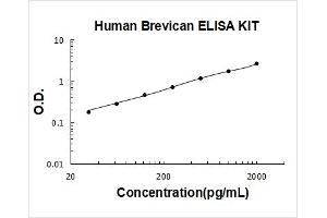 Brevican (BCAN) ELISA Kit