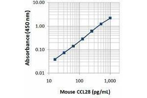 ELISA image for anti-Chemokine (C-C Motif) Ligand 28 (CCL28) antibody (Biotin) (ABIN2660745) (CCL28 anticorps  (Biotin))