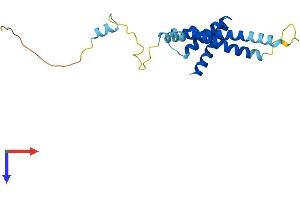 AlphaFold protein structure predicition of Human Recombinant TIMM22 Protein, UniprotID Q9Y584