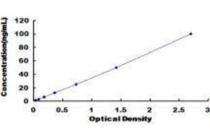 Transferrin Receptor 2 (TFR2) ELISA Kit