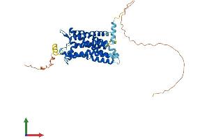 AlphaFold protein structure predicition of Human Recombinant GPR182 Protein, UniprotID O15218