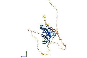 AlphaFold protein structure predicition of Mouse Recombinant Rem2 Protein, UniprotID Q8VEL9