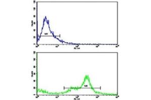 Flow cytometric analysis of MDA-231 cells using C6 antibody (green) compared to a negative control (blue).