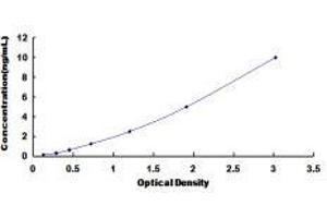 NLR Family, Apoptosis Inhibitory Protein (NAIP) ELISA Kit