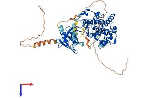 AlphaFold protein structure predicition of Mouse Recombinant Mapk10 Protein, UniprotID Q61831