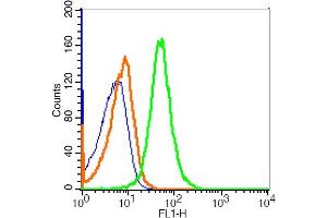 Mouse thymus cells probed with CD45 Polyclonal Antibody, FITC Conjugated (bs-10599R-FITC) at 1:20 for 30 minutes compared to control cells (blue)and isotype control (orange).