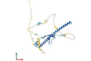 AlphaFold protein structure predicition of Human Recombinant TEF Protein, UniprotID Q10587
