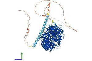 AlphaFold protein structure predicition of Mouse Recombinant Eml1 Protein, UniprotID Q05BC3