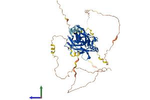 AlphaFold protein structure predicition of Human Recombinant RELA Protein, UniprotID Q04206