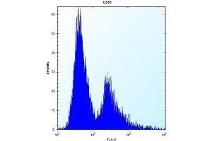 Flow cytometric analysis of U251 cells using PLOD1 / PLOD Antibody (N-term) Cat. (PLOD1 anticorps  (N-Term))