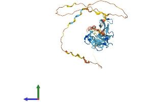 AlphaFold protein structure predicition of Human Recombinant FBLIM1 Protein, UniprotID Q8WUP2