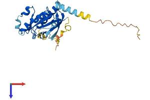 AlphaFold protein structure predicition of Human Recombinant RABL2A Protein, UniprotID Q9UBK7