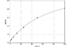Dihydrolipoamide Dehydrogenase (DLD) ELISA Kit