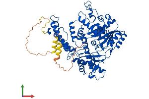 AlphaFold protein structure predicition of Mouse Recombinant Gad2 Protein, UniprotID P48320