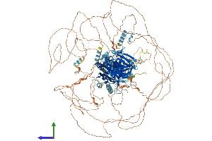 AlphaFold protein structure predicition of Mouse Recombinant Tns3 Protein, UniprotID Q5SSZ5