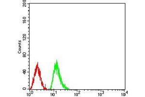 Flow cytometric analysis of Raji cells using HIST2H4A(20Me) mouse mAb (green) and negative control (red).