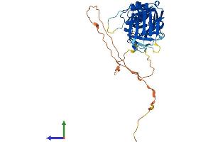 AlphaFold protein structure predicition of Mouse Recombinant Rad9a Protein, UniprotID Q9Z0F6
