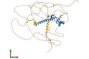 AlphaFold protein structure predicition of Human Recombinant DMRTA2 Protein, UniprotID Q96SC8