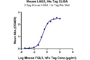 Immobilized Mouse LAG3 at 2 μg/mL (100 μL/Well) on the plate. (LAG3 Protein (His tag))