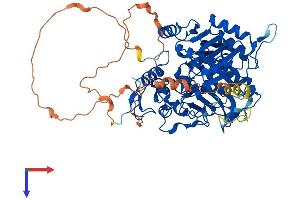 AlphaFold protein structure predicition of Human Recombinant TDP1 Protein, UniprotID Q9NUW8