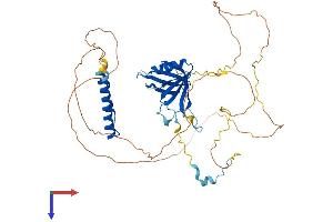AlphaFold protein structure predicition of Human Recombinant NUP50 Protein, UniprotID Q9UKX7