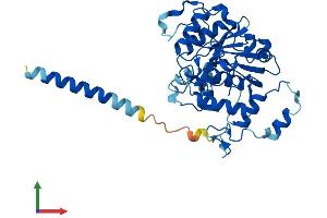 AlphaFold protein structure predicition of Mouse Recombinant St3gal3 Protein, UniprotID P97325