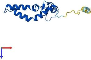 AlphaFold protein structure predicition of Mouse Recombinant Mrps14 Protein, UniprotID Q9CR88