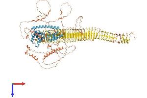 AlphaFold protein structure predicition of Human Recombinant TRO Protein, UniprotID Q12816