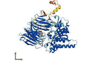 AlphaFold protein structure predicition of Human Recombinant PREPL Protein, UniprotID Q4J6C6