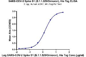Immobilized Human ACE2, hFc Tag at 5 μg/mL (100 μL/well) on the plate.