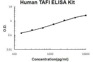 Human TAFI/CPB2 EZ Set™ ELISA Kit (DIY Antibody Pairs)