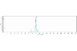 The purity of Anti-HGF / SF Reference Antibody (ficlatuzumab) is 98.