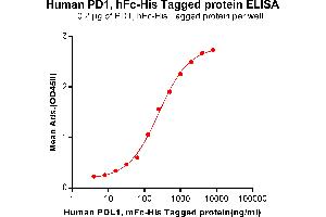 ELISA plate pre-coated by 2 μg/mL (100 μL/well) Human PD1, hFc-His tagged protein (ABIN6961149) can bind Human PDL1, mFc-His tagged protein (ABIN6961096) in a linear range of 62.