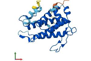 AlphaFold protein structure predicition of Human Recombinant MOB3C Protein, UniprotID Q70IA8