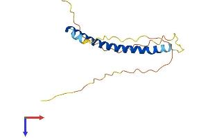 AlphaFold protein structure predicition of Mouse Recombinant Nap1l5 Protein, UniprotID Q9JJF0