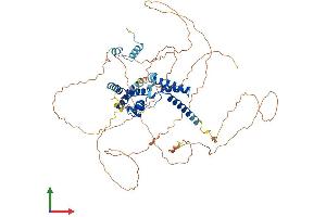 AlphaFold protein structure predicition of Mouse Recombinant Hnf1a Protein, UniprotID P22361