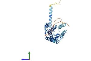 AlphaFold protein structure predicition of Mouse Recombinant Elovl4 Protein, UniprotID Q9EQC4