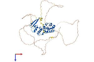 AlphaFold protein structure predicition of Mouse Recombinant Mbd4 Protein, UniprotID Q9Z2D7