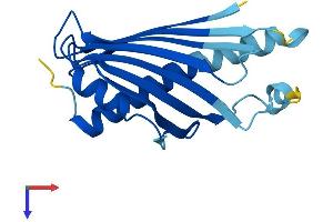 AlphaFold protein structure predicition of Mouse Recombinant Prelid2 Protein, UniprotID Q0VBB0